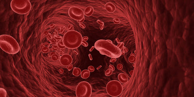 The Important Difference between LDL and HDL Cholesterol